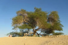 5 Destinasi Wisata di...