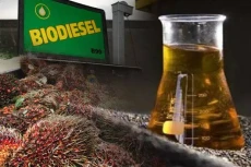 Industri Sawit Berperan...