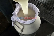3 Negara Asal Impor...