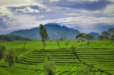 15 Destinasi Wisata...