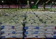 Realisasi Penyaluran...