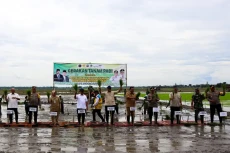 Swasembada Pangan, Sinergi...