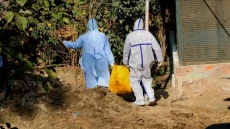 Virus Flu Burung H5N1...