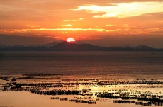Apakah Air Laut Bisa...