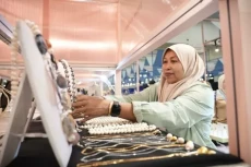 Ekspansi Gemilang, BRI...