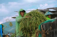 BULOG Jatim Serap Hasil...