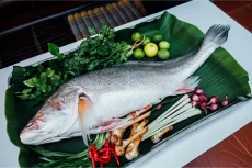 7 Ikan yang Menyehatkan...