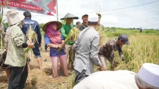 Dorong Transformasi...