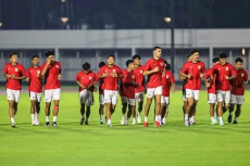 Gerald Vanenburg: Timnas...