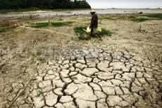 Waspada! 45% Wilayah...
