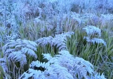 Bromo Bersalju: Selimut...