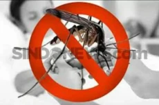 Kasus Chikungunya di...