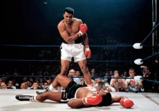 Muhammad Ali Cerita...