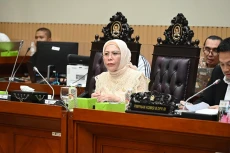 Anggota DPR Harap Hakim...