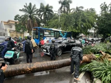 Hujan Deras dan Angin...