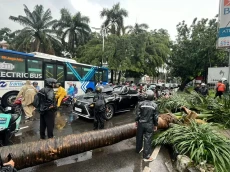 Mantan Bos Danareksa...