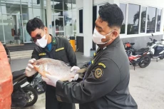 BNPP Fasilitasi Pengiriman...