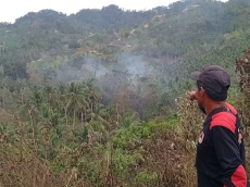 Petugas Gabungan Masih...