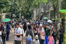 Ada Night Zoo, Ragunan...