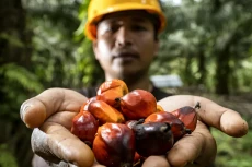 PASPI Apresiasi Komitmen...