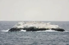 Pulau Misterius Ditemukan...