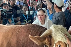 Dewi Perssik Rela Naik...