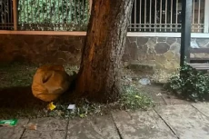 Viral Paspor Ditemukan...