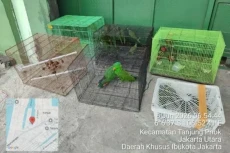 Kemenhut Bongkar Perdagangan...