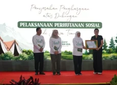 Kembangkan Agroforestri,...