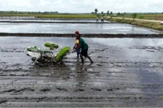 Kadis Pertanian Merauke:...