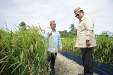 Tinjau Teknologi Tanam...