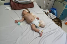 1.022 Bayi Termasuk...