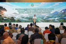 Menko Pangan Minta Sektor...