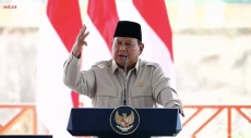 Senapan Tentara Arab...
