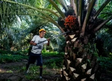 SPKS Dorong Riset BPDP...