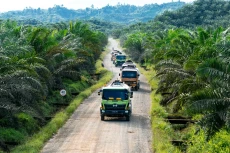 Indonesia Perlu Arah...