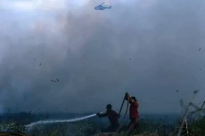 Antisipasi El Nino Godzilla,...