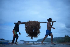 Hasil Panen Melimpah,...
