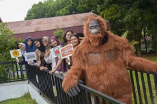 Kampanye Peduli Orangutan...