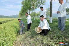 Kim Jong Un Nongkrong...