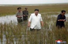 Potret Blusukan Kim...
