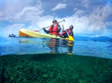 Melihat Surga di Tengah...