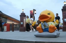 B.Duck Playful Carnival...