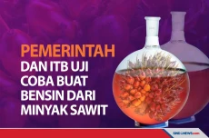 Pemerintah Uji Coba...
