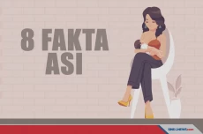 Fakta-Fakta Seputar...