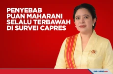 Dua Penyebab Puan Maharani...