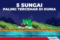 Lima Sungai yang Paling...