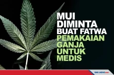 Wapres Minta MUI Buat...