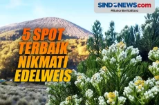 5 Spot Terbaik Nikmati...