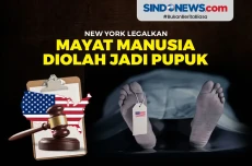 Wow! New York Legalkan...